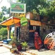 A stone building with potted plants and a “JuiceLand” sign welcomes you. A large butterfly wing sculpture stands out front, surrounded by greenery—perfect for any runner seeking Healthy Austin Restaurants on a sunny day. Austin Marathon Half Marathon & 5K