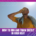 Man in a yellow shirt with a towel over his shoulder shades his eyes from the sun under a clear sky. Text reads: “How to run and train safely in high heat — essential running safety tips.”. Austin Marathon Half Marathon & 5K