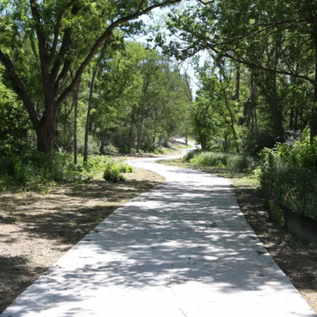 A paved path winds through a lush, green forest with tall trees providing partial shade on a sunny day—perfect for summer training on Austin’s renowned shaded running trails. Austin Marathon Half Marathon & 5K